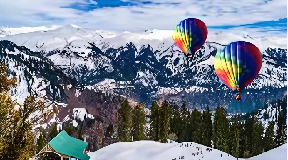 Domestic Tours (India)